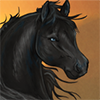 Amazing Black Stallion